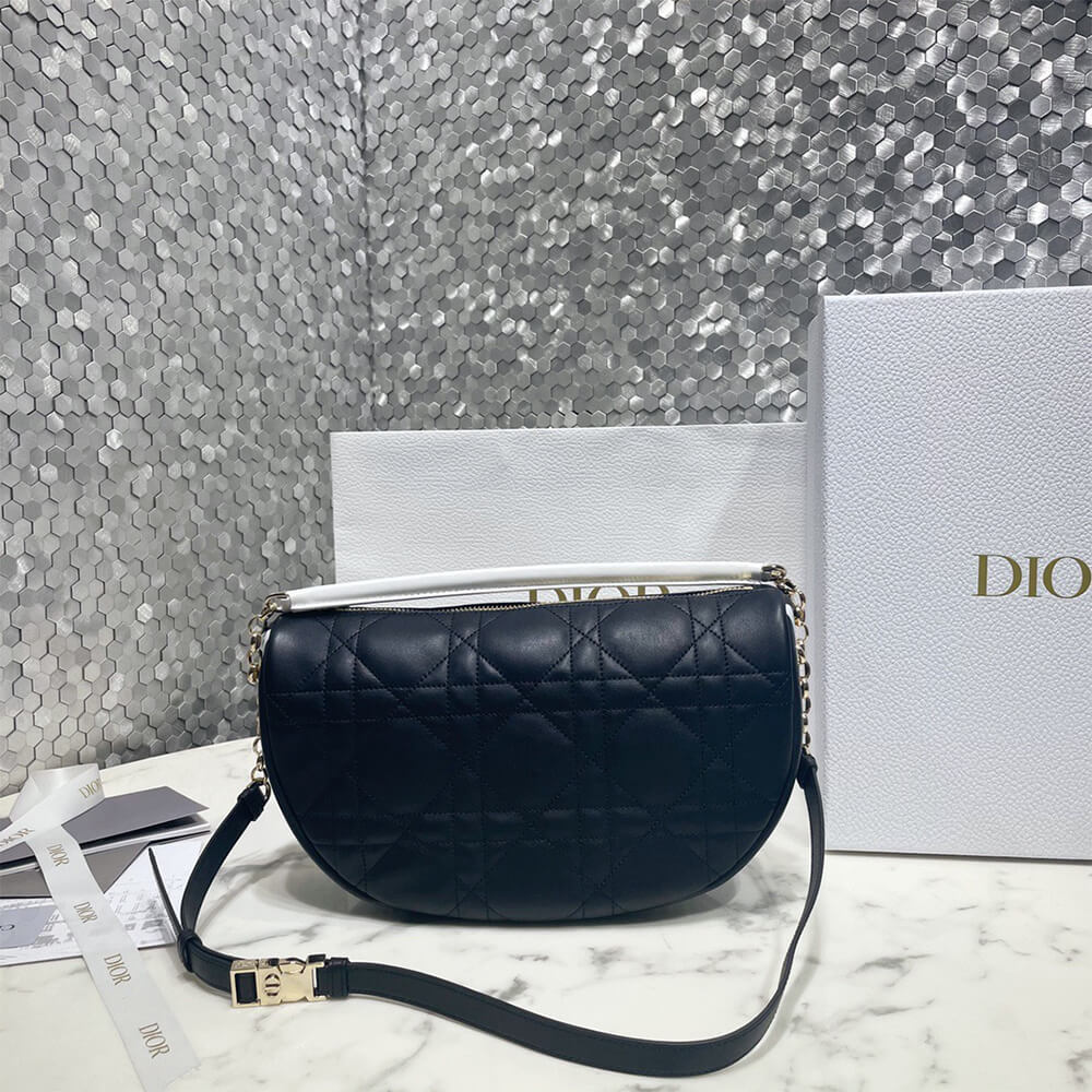 medium D10r vibe hobo bag