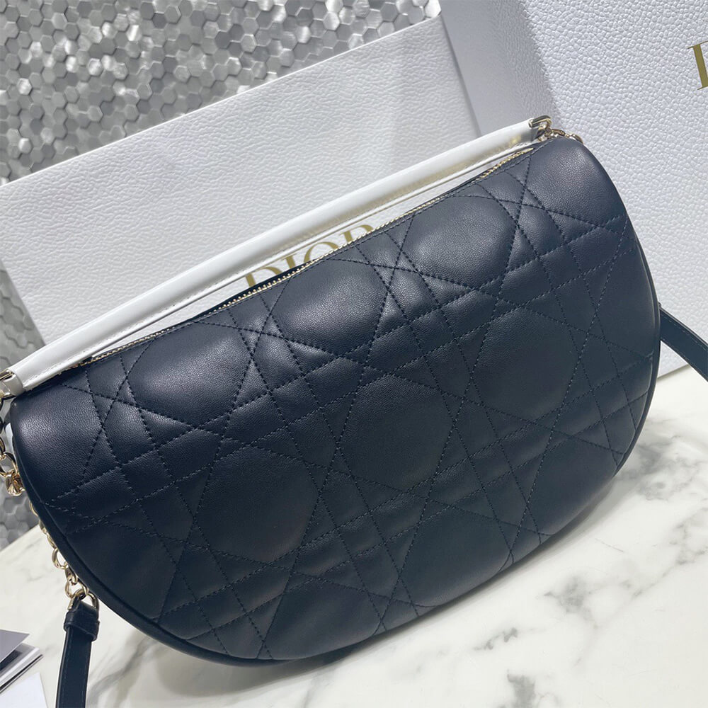 medium D10r vibe hobo bag