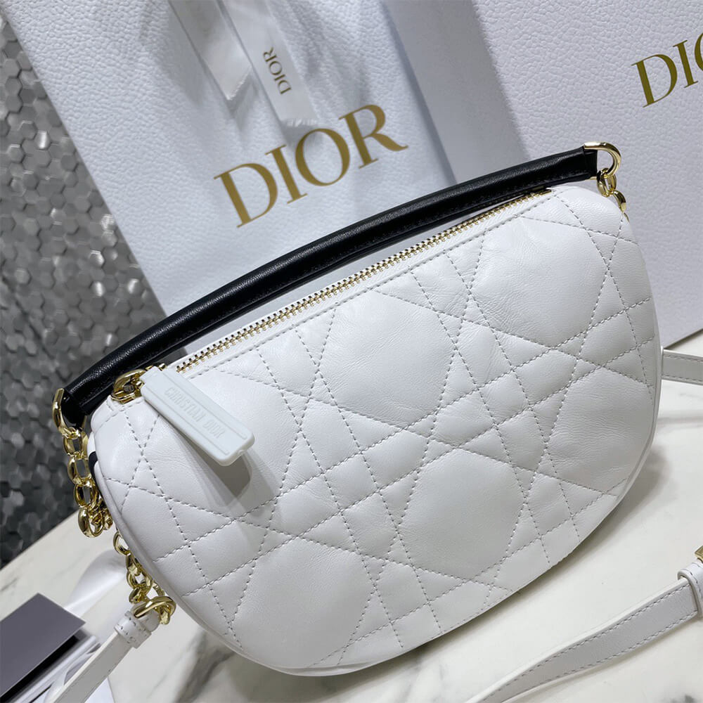 small D10r vibe hobo bag