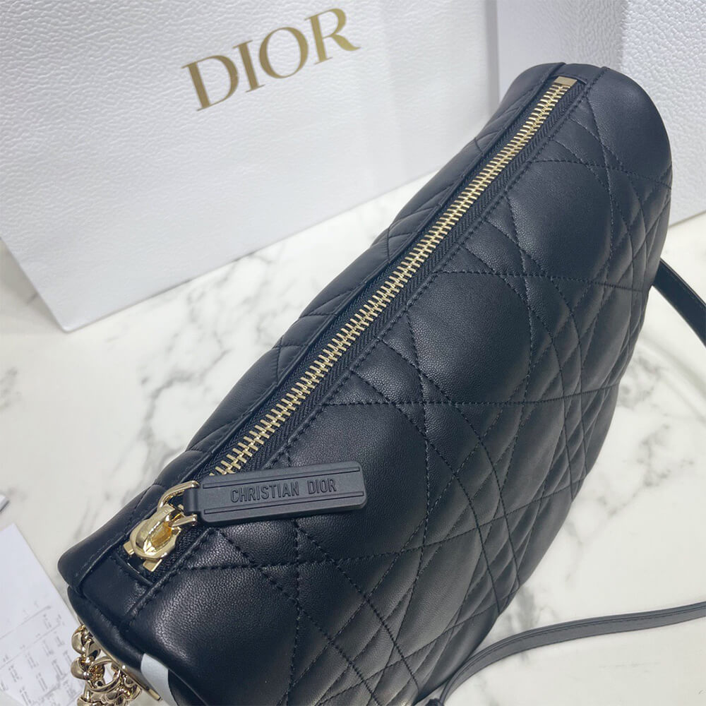 medium D10r vibe hobo bag