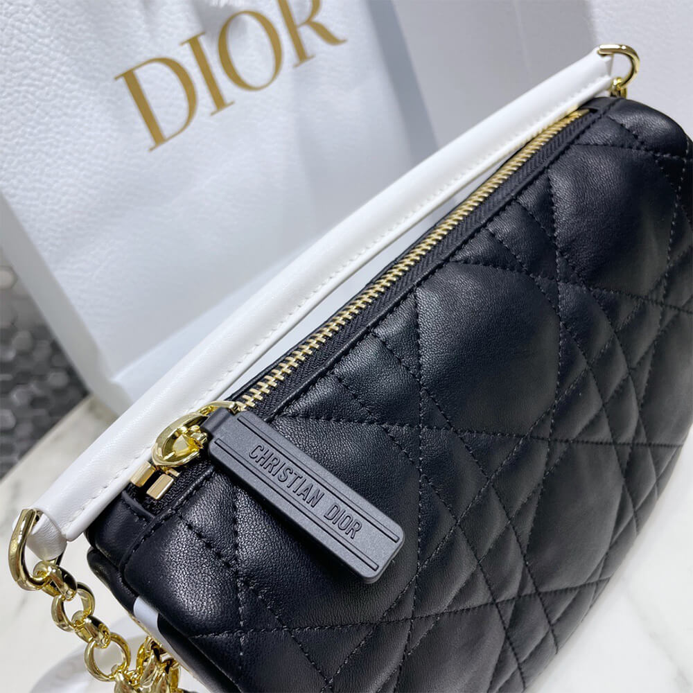 small D10r vibe hobo bag