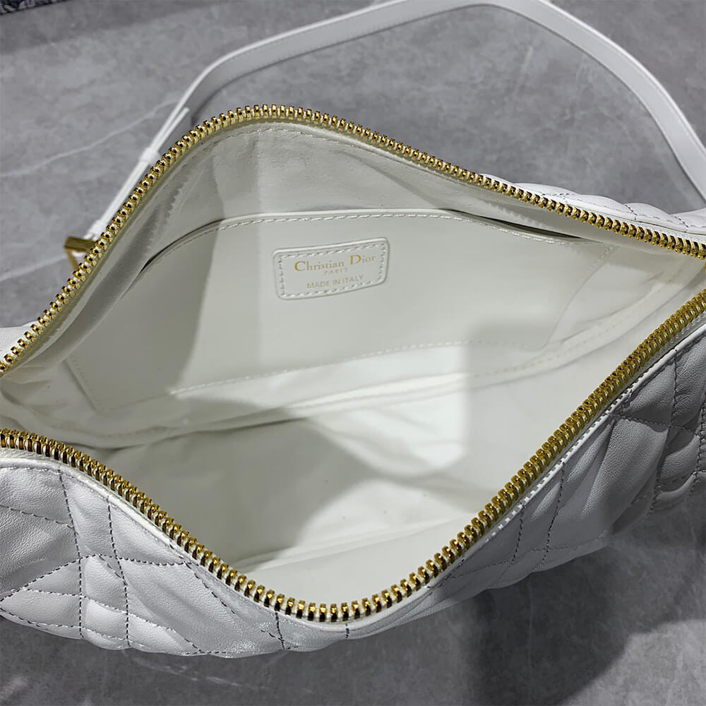 medium D10r vibe hobo bag