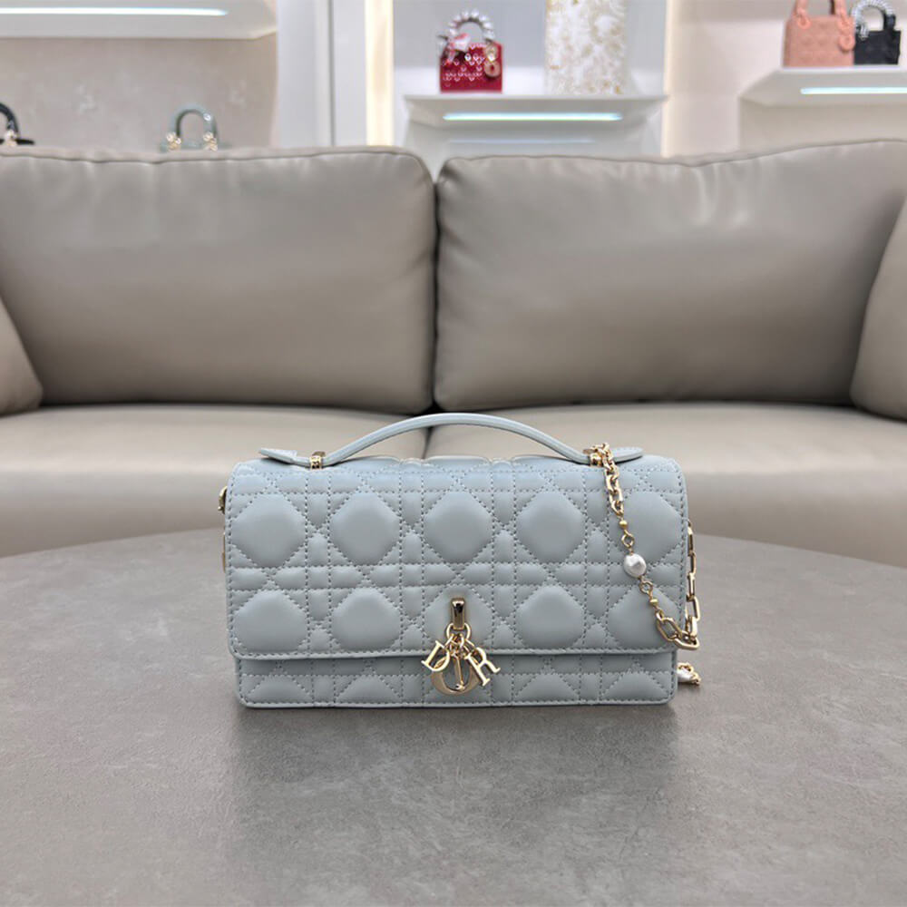 D10r mini bag