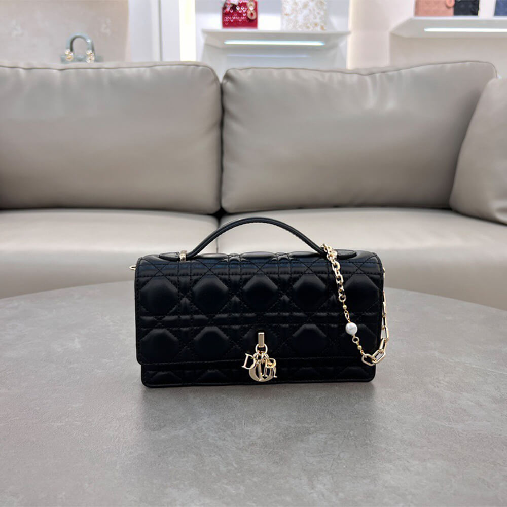 D10r mini bag