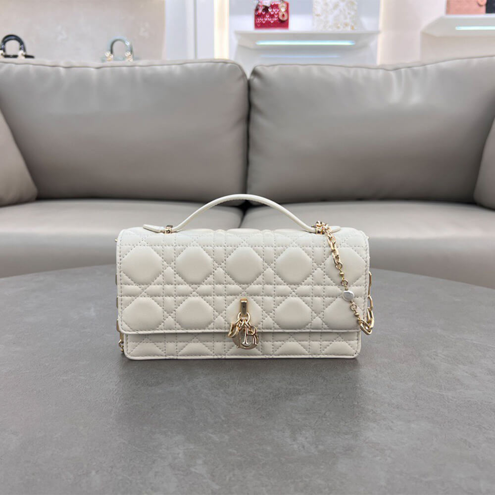 D10r mini bag