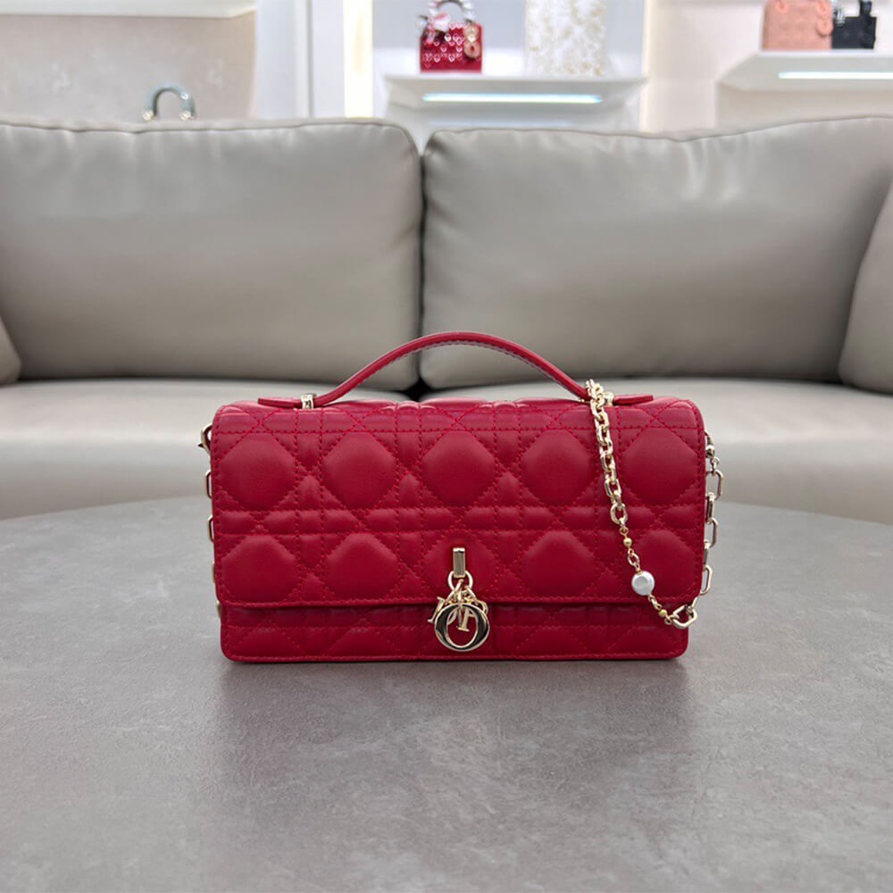 D10r mini bag