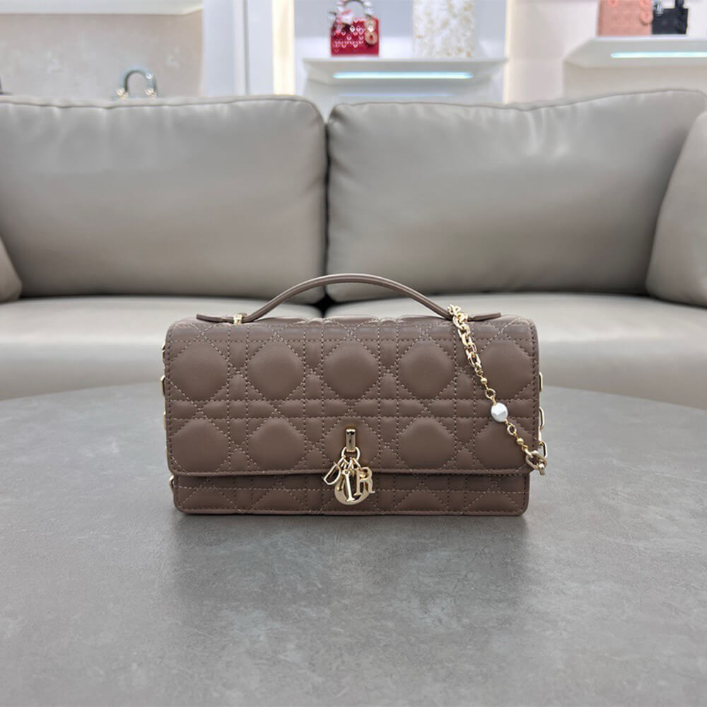 D10r mini bag