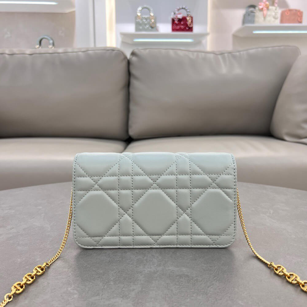 D10r miss caro pouch with chain