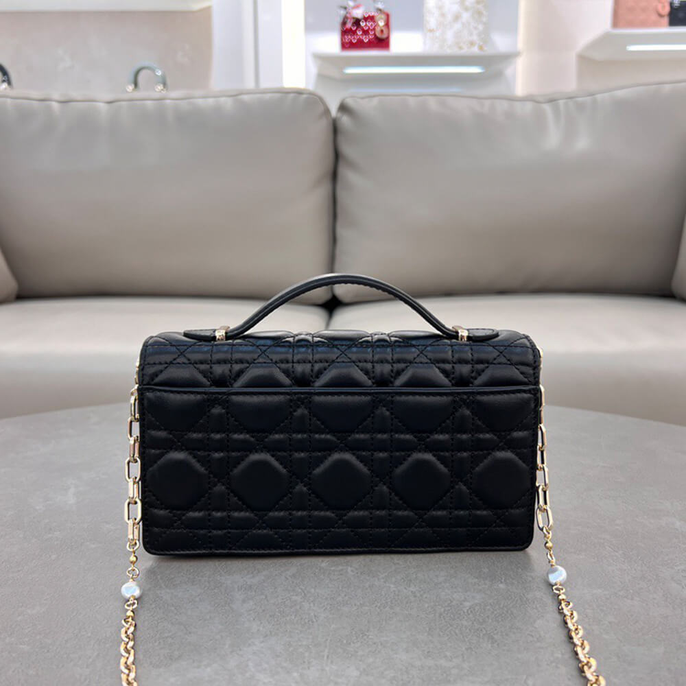 D10r mini bag
