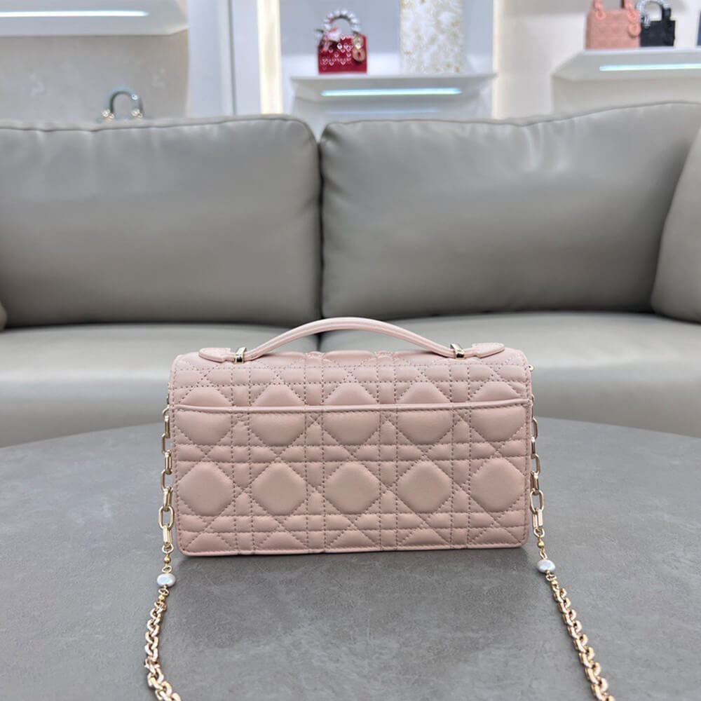 D10r mini bag