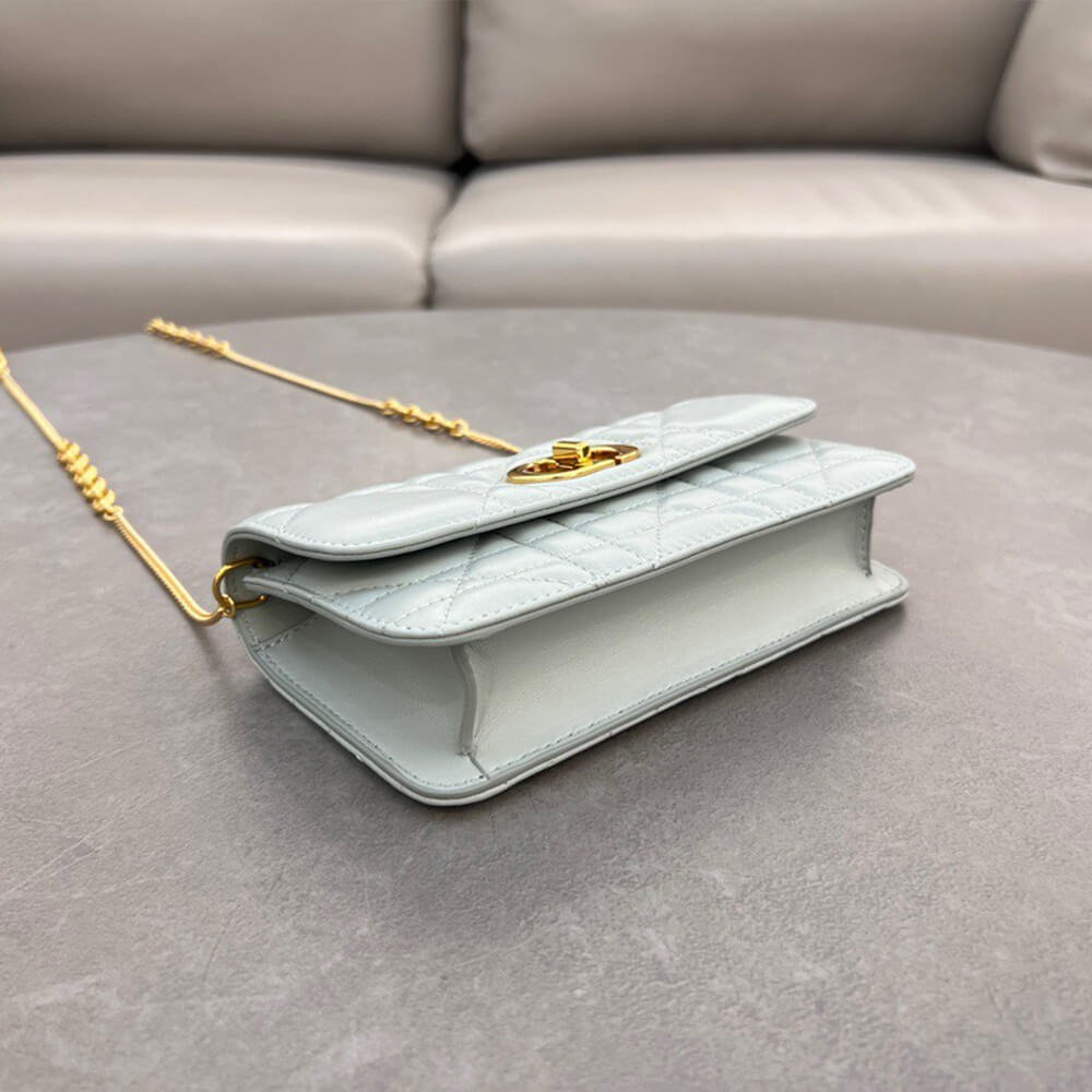 D10r miss caro pouch with chain
