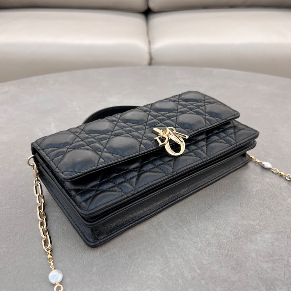 D10r mini bag