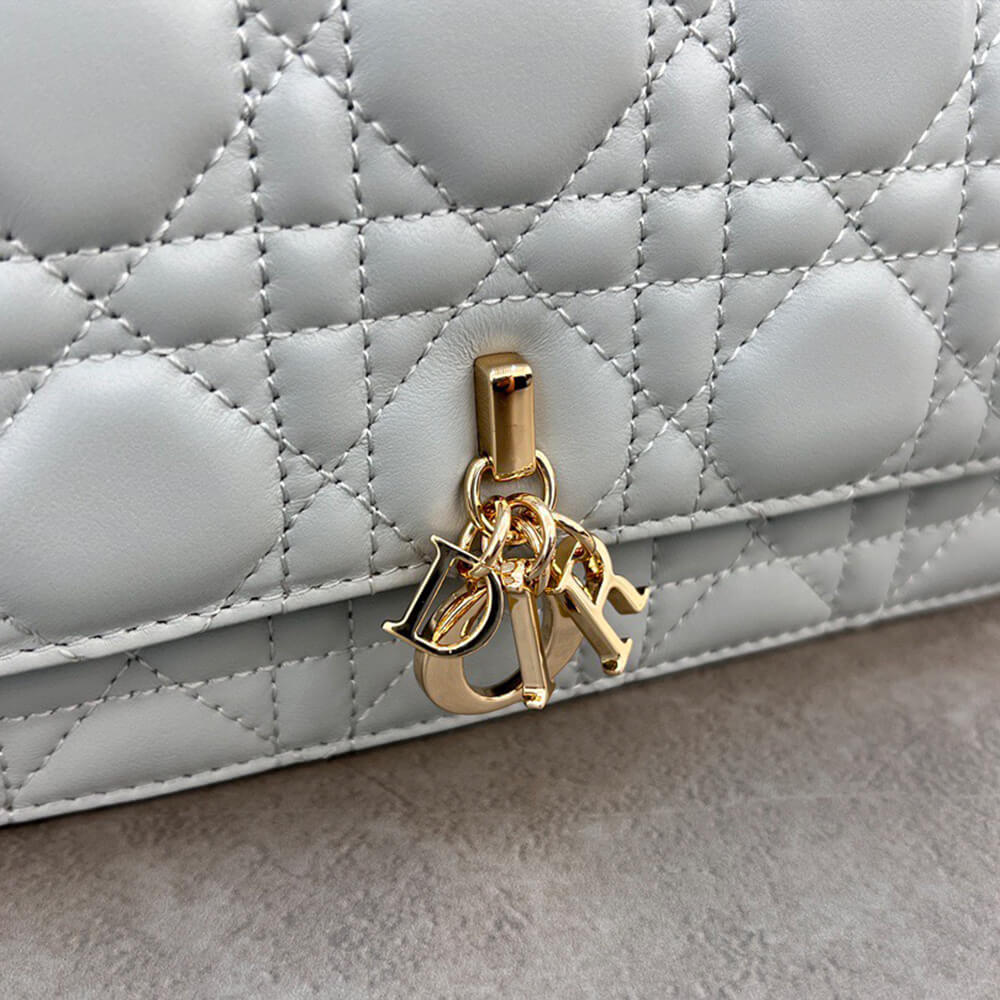 D10r mini bag