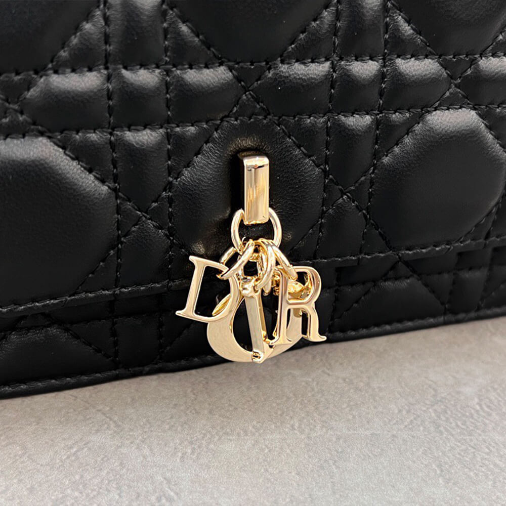 D10r mini bag