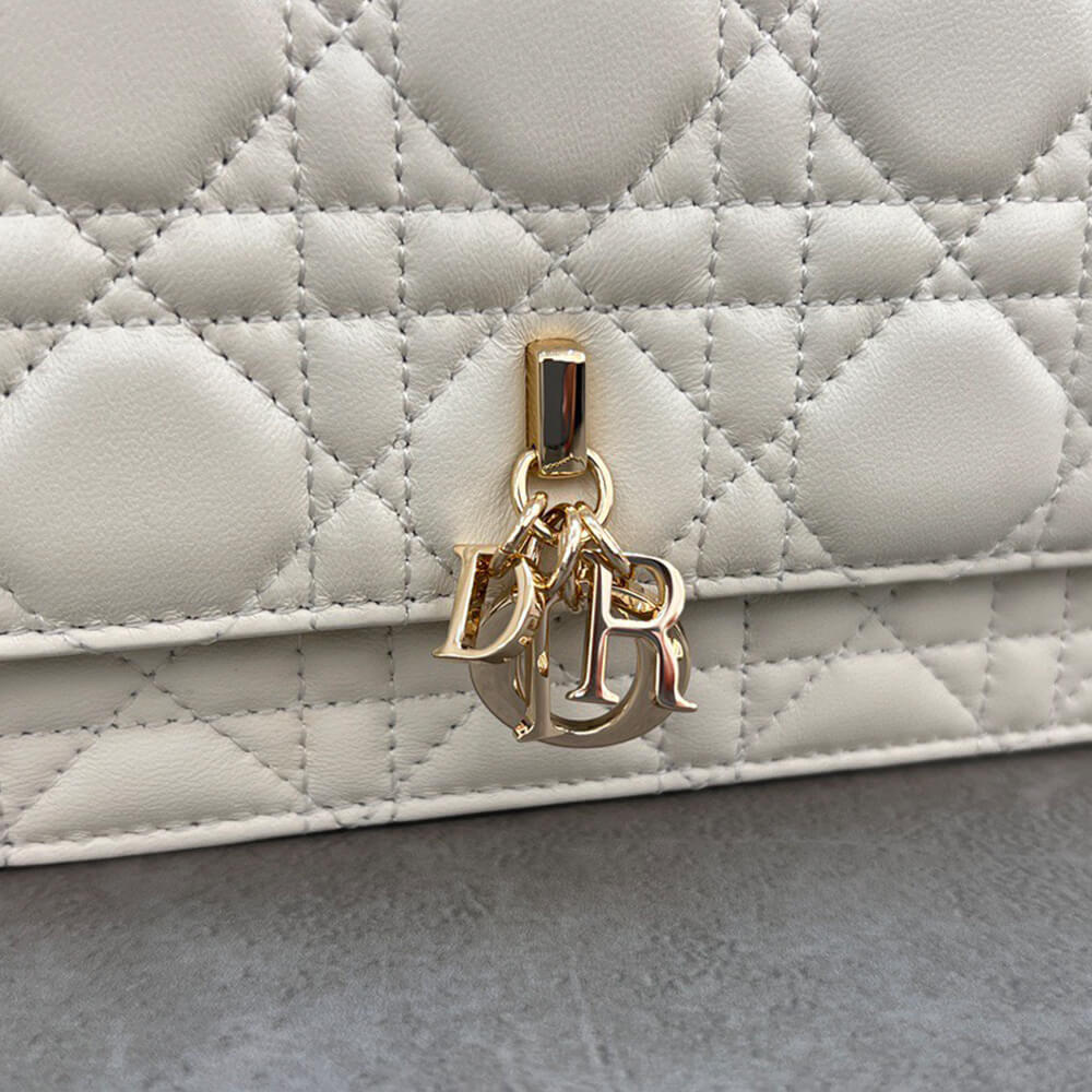 D10r mini bag