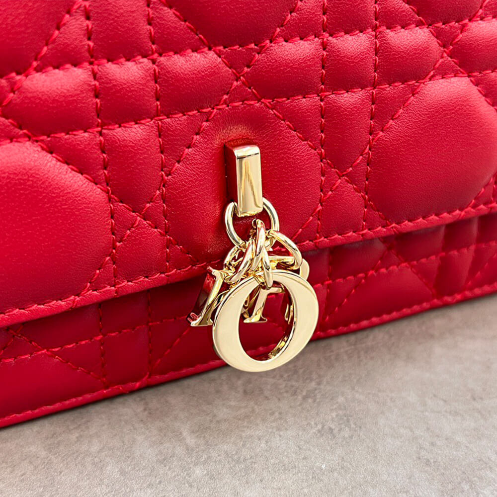D10r mini bag