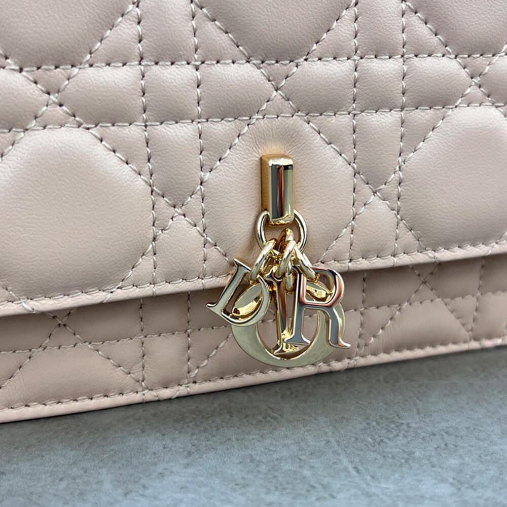 D10r mini bag