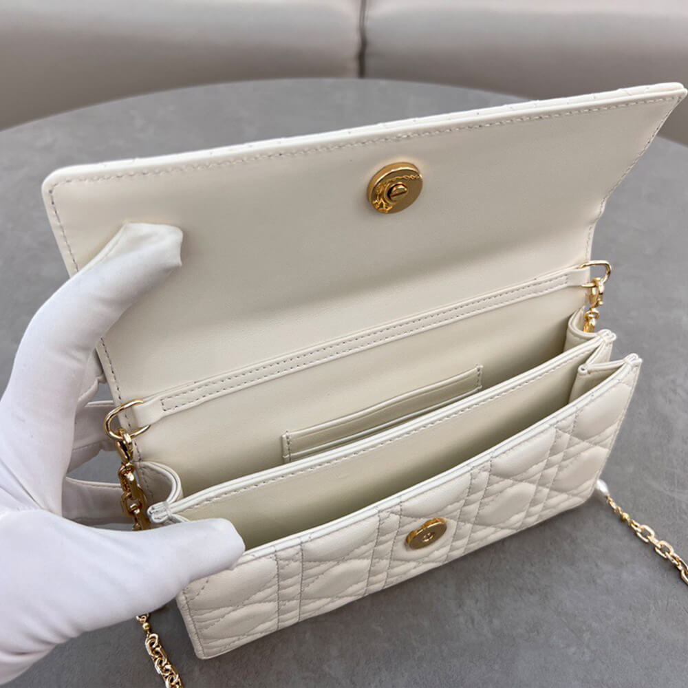 D10r mini bag