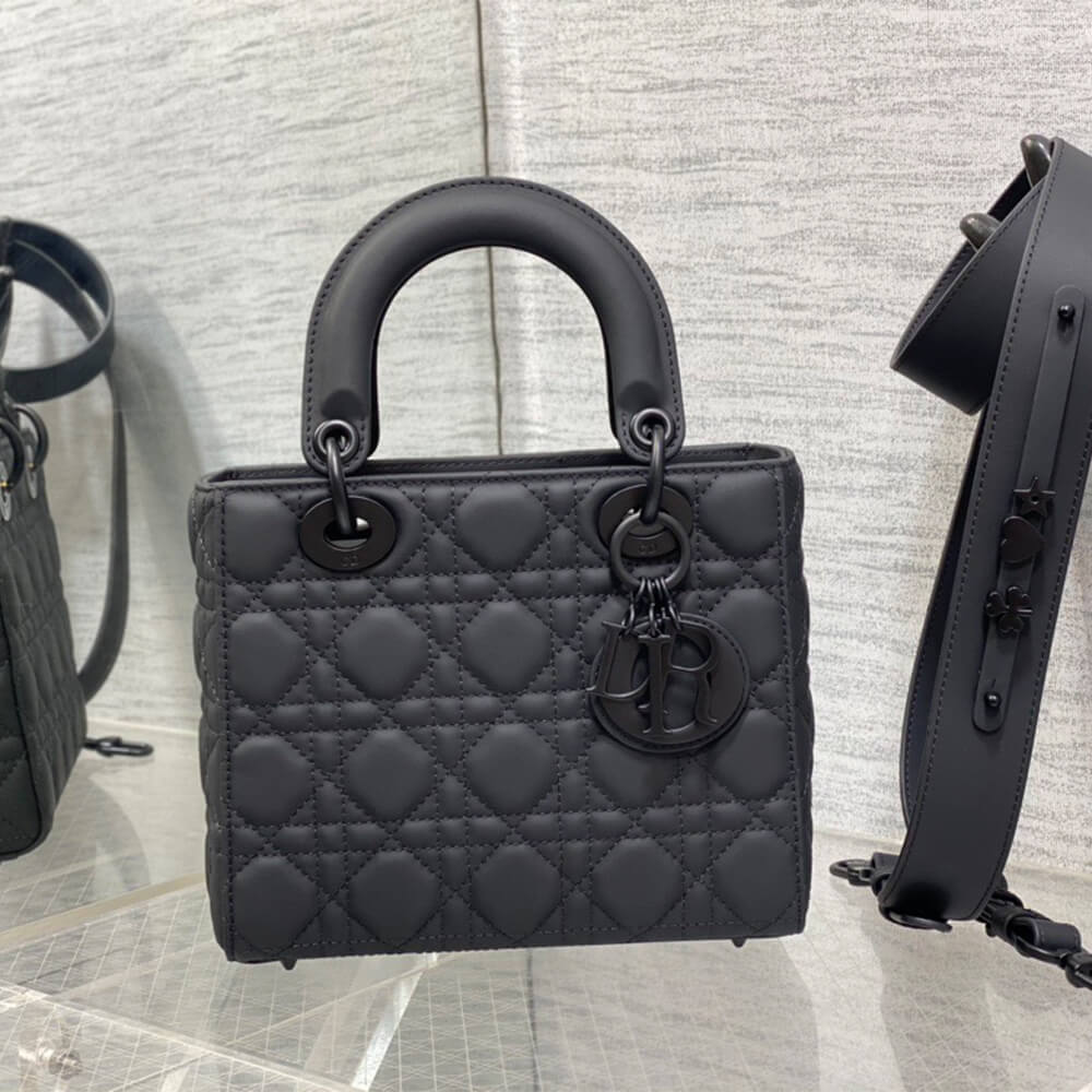 small lady D10r my abcD10r bag