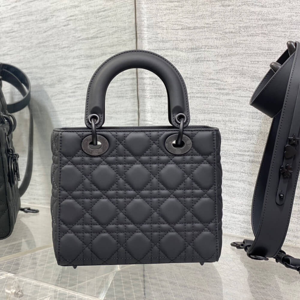 small lady D10r my abcD10r bag