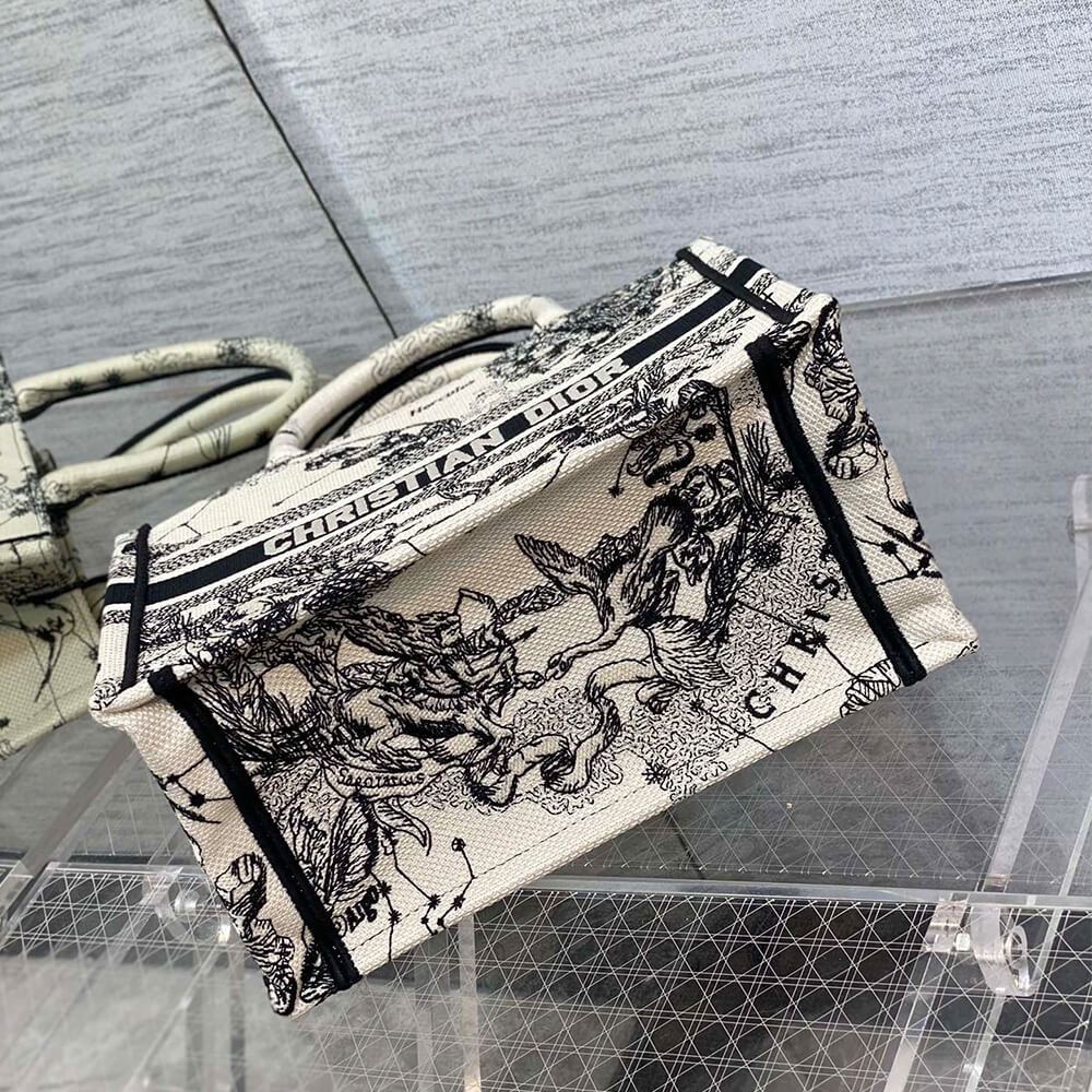 small D10r book tote