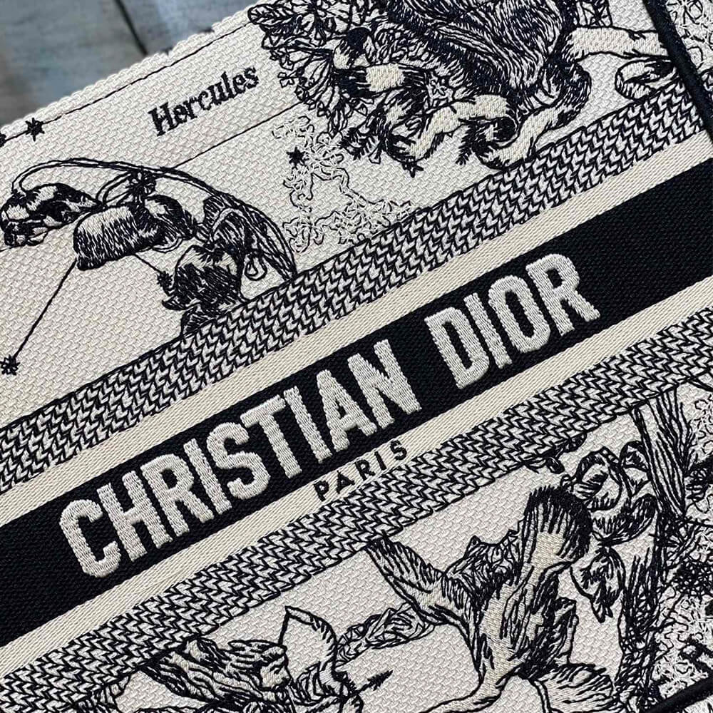small D10r book tote