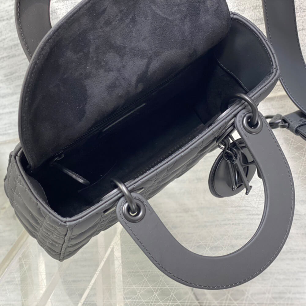 small lady D10r my abcD10r bag