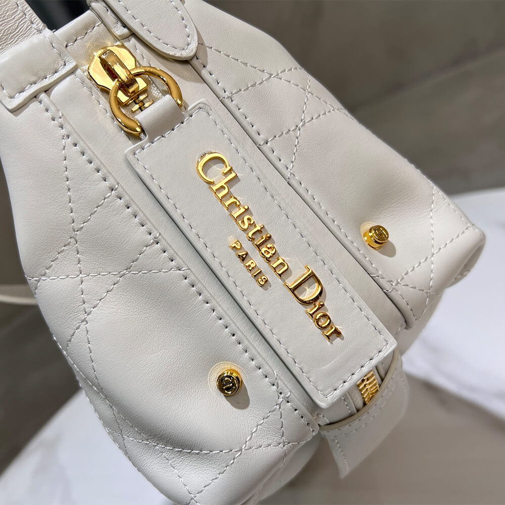 D10r small d-journey bag in vintage smooth calfskin(high-end grade)