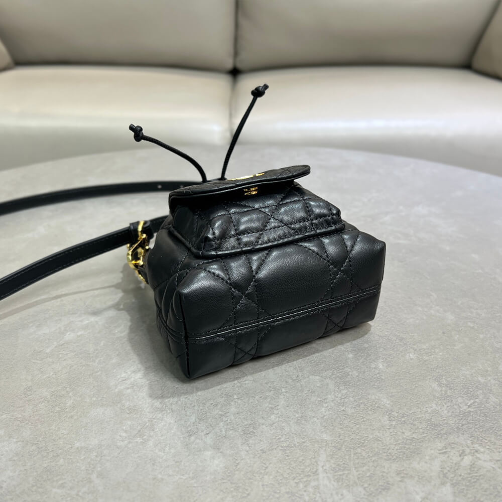 D10r micro D10r caro bucket bag