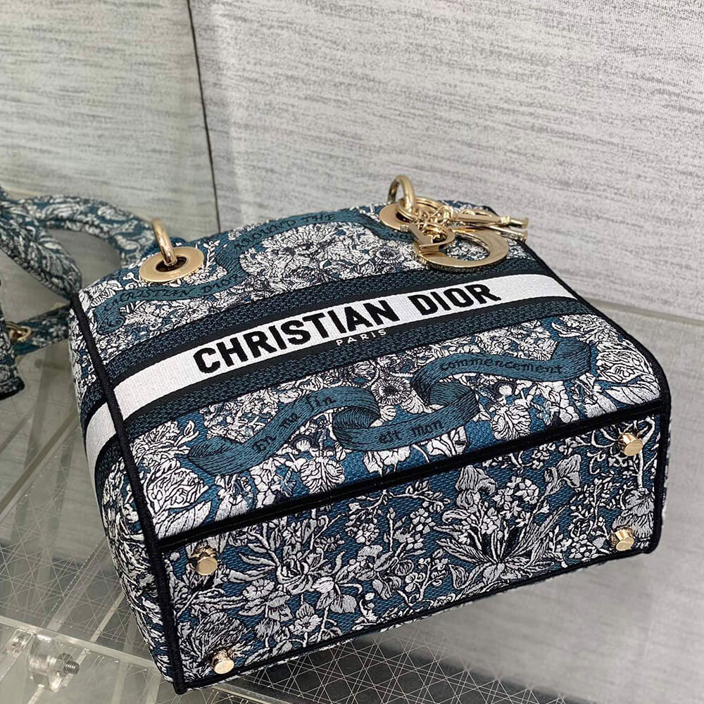 D10r medium lady d-lite bag