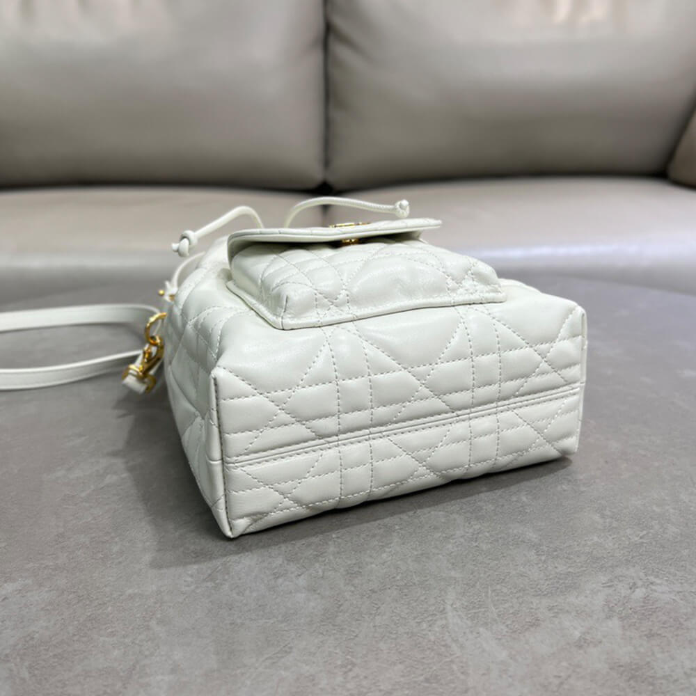 D10r small D10r caro bucket bag