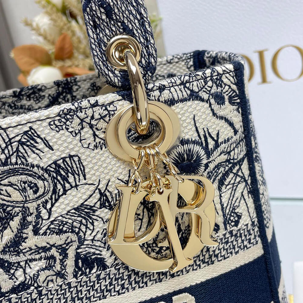 D10r medium lady d-lite bag