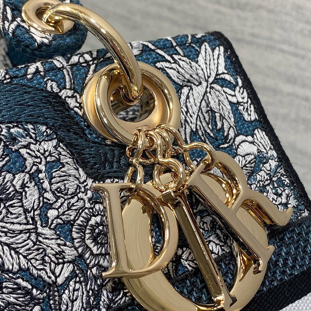 D10r medium lady d-lite bag