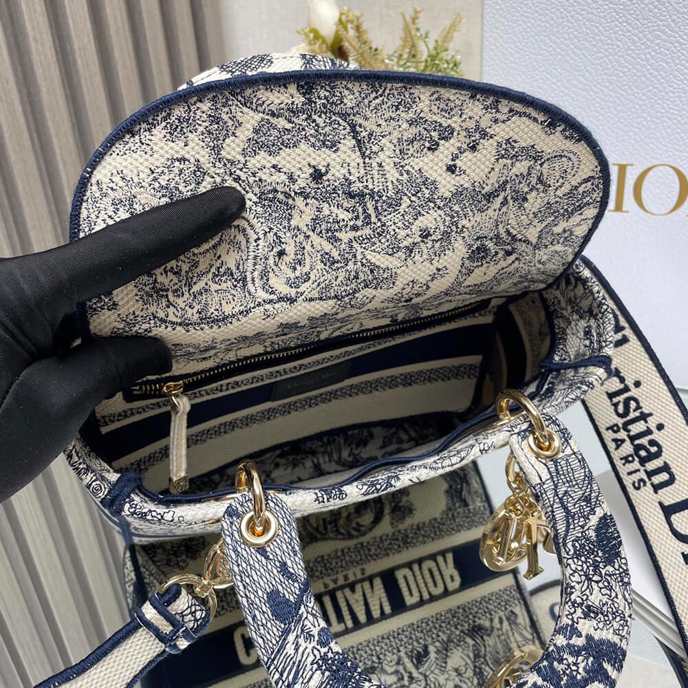 D10r medium lady d-lite bag