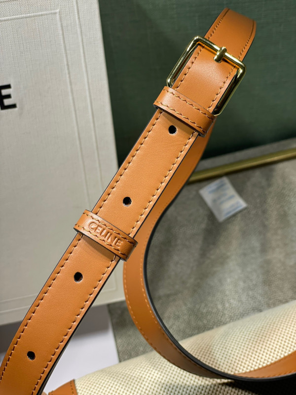 CELIN* CLASSIQUE TRIOMPHE BAG