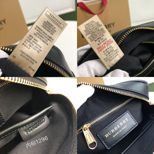 B**rry medium monogram stripe e-canvas camera bag